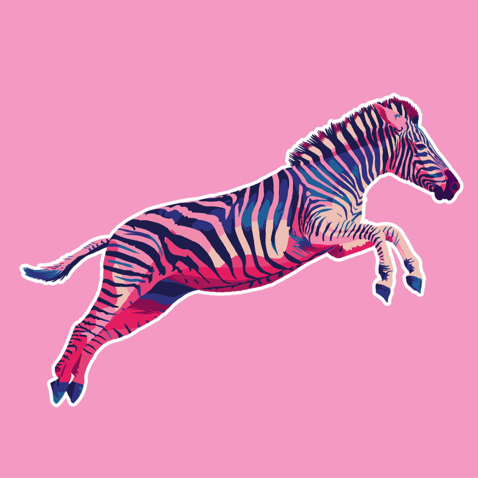 Zebra Sticker