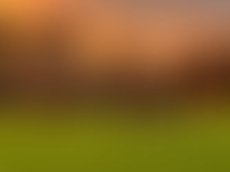 NYE TRENINGSTIDER FOR SOMMEREN!