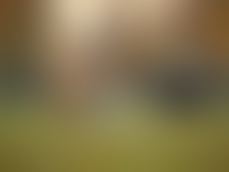 Join Our Events: Empowering Dogs and Their Owners