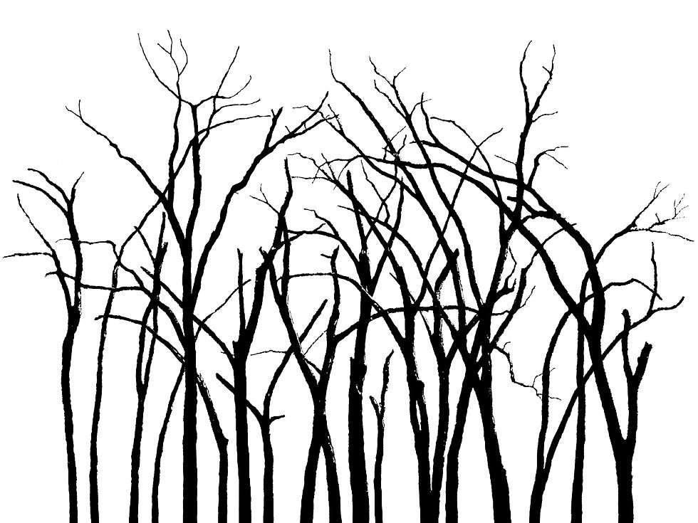 Tree 164e Lela TX