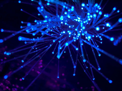 cablesBleu.jpeg