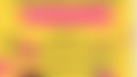 Festa Final de Curs 2024-25 a 9 Graons