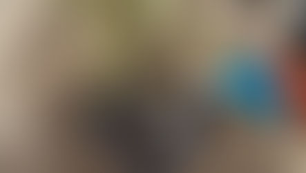 Portem més verd al pati de l'escola