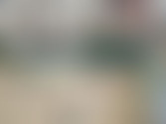 Tanquem el pati de forma indefinida per alerta d’amiant