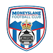 Newry City Logo _edited.png