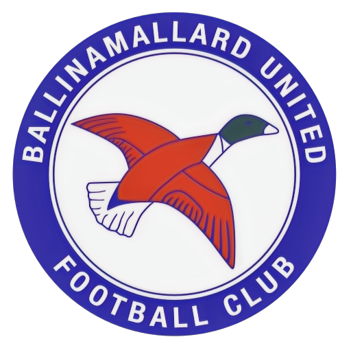 Newry Logo_edited.png