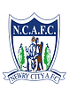 Newry City Logo _edited.png