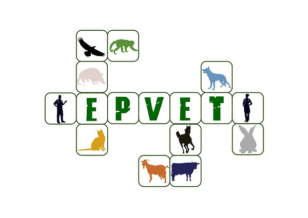 logo.jpg