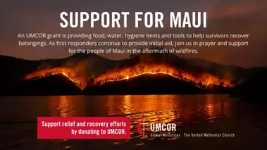 Support For Maui