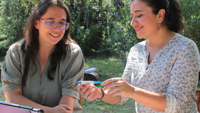 La ovulación y el ciclo menstrual: el quinto signo vital de la salud femenina