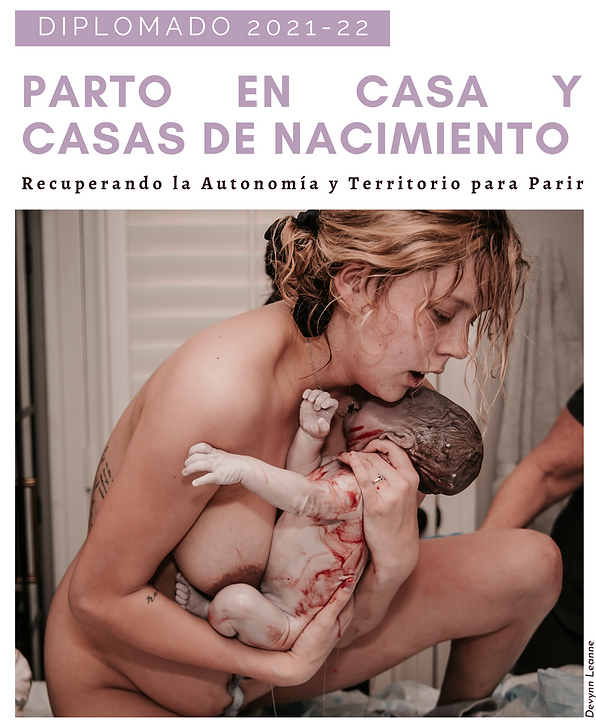 Afiche Wix.png