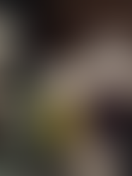 NOG NOG WHO’S THERE?