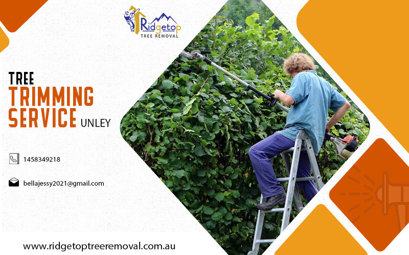 tree trimming service