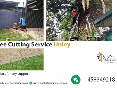 Essential tips and benefits of Tree cutting service