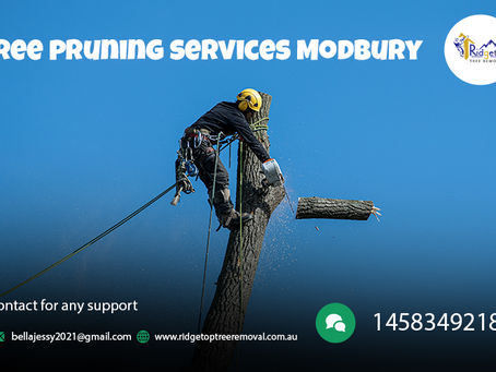 Tree Pruning - Easy solution to maintain the condition of the trees