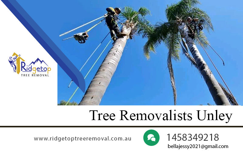 Tree removalists Unley