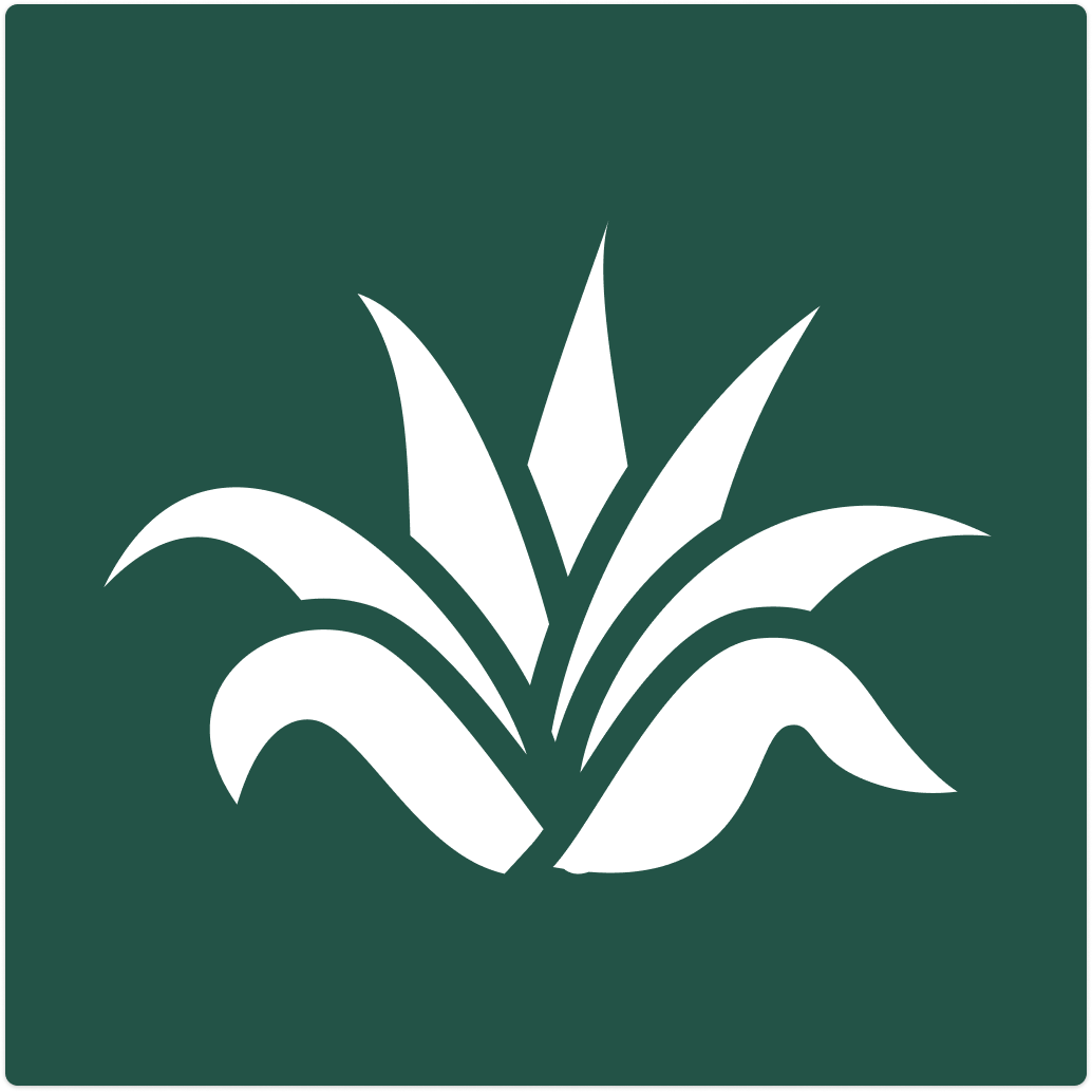 Comprehensive ADHD Care for Adults | Agave Health