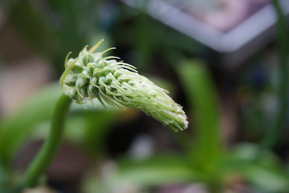 20150308-image3.jpeg