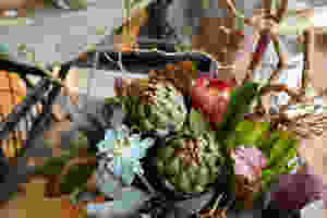 imageアレンジ.jpeg