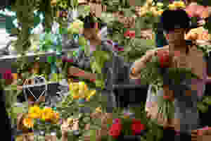 aimage.jpeg