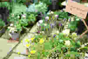 simage.jpeg