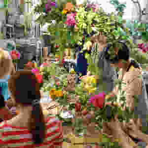 image1.jpeg