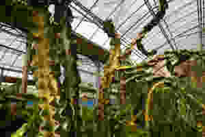 20150215-imaged.jpeg