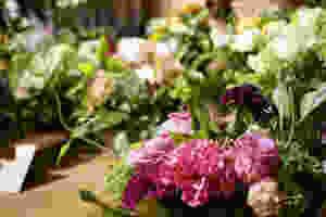 Cimage.jpeg