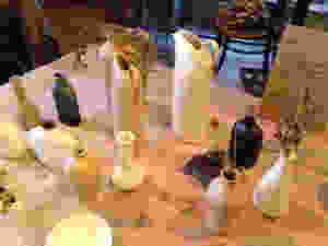 20141109-1.jpeg