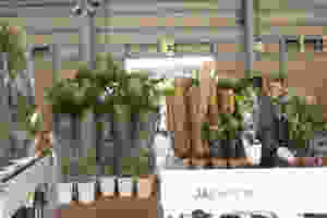 20150215-imageb.jpeg