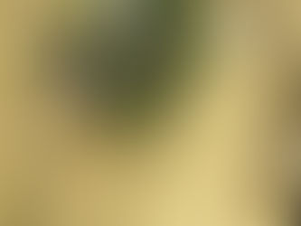 ワークショップ追加開催決定!!