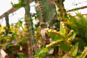 20150215-imageg.jpeg