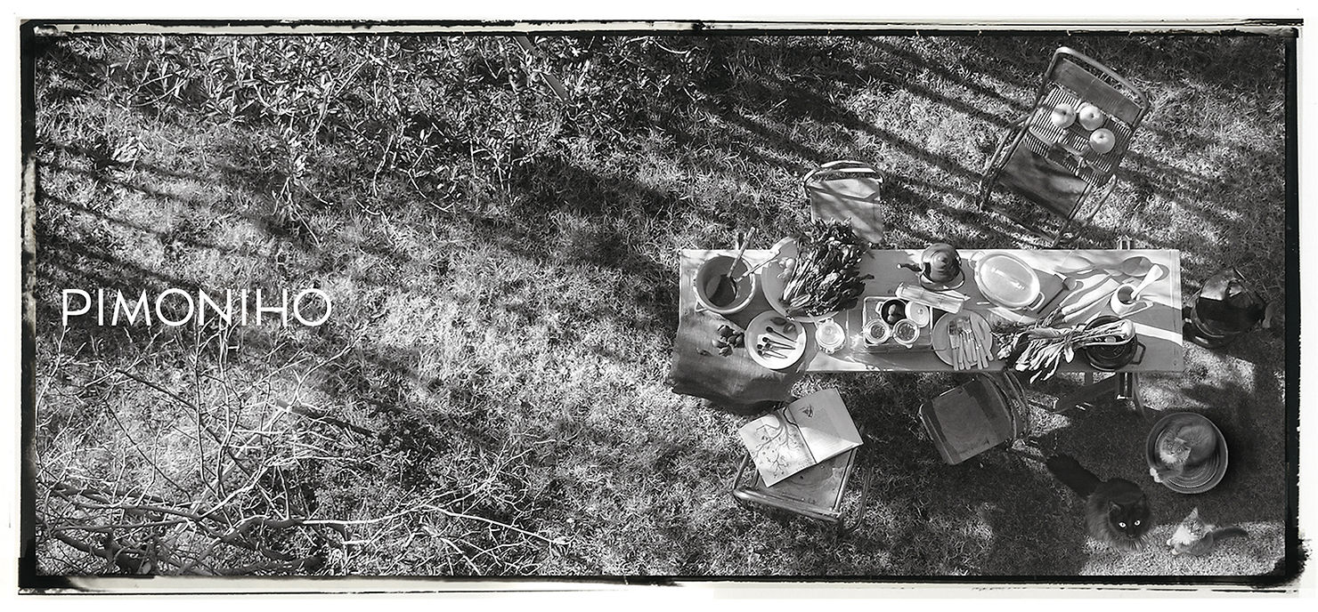 Pimoniho In Buriki No Zyoro Shonan Pimoniho In Buriki No Zyoro Shonan