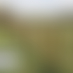 agricultural fencing