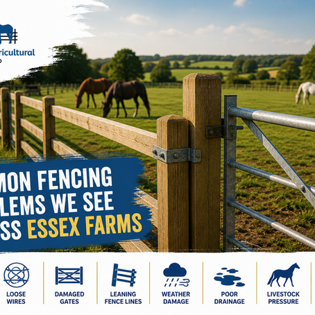 Common Fencing Problems We See Across Essex Farms (And How to Prevent Them)