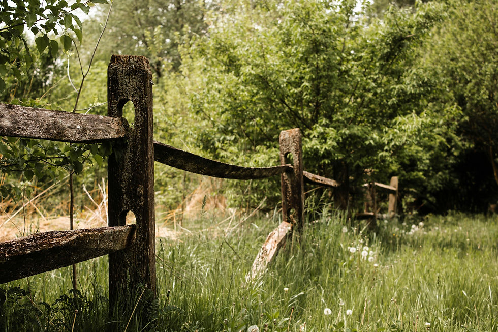 cheap fencing in Essex