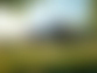 Sustainable Living: Exploring Sustainable Housing Options and the Rise of Eco-Friendly Homes