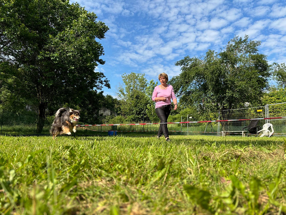 18bf1d22-23e1-46e8-a863-0fbbfc4849c7