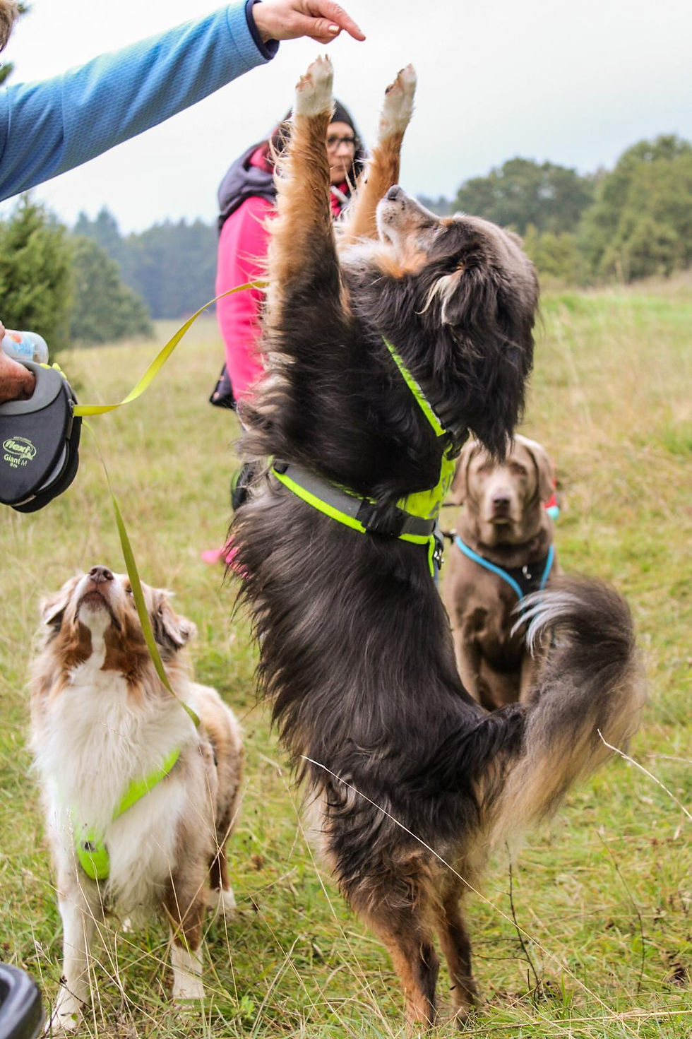 91193e6a-a079-4409-8a41-6ca153442d9a