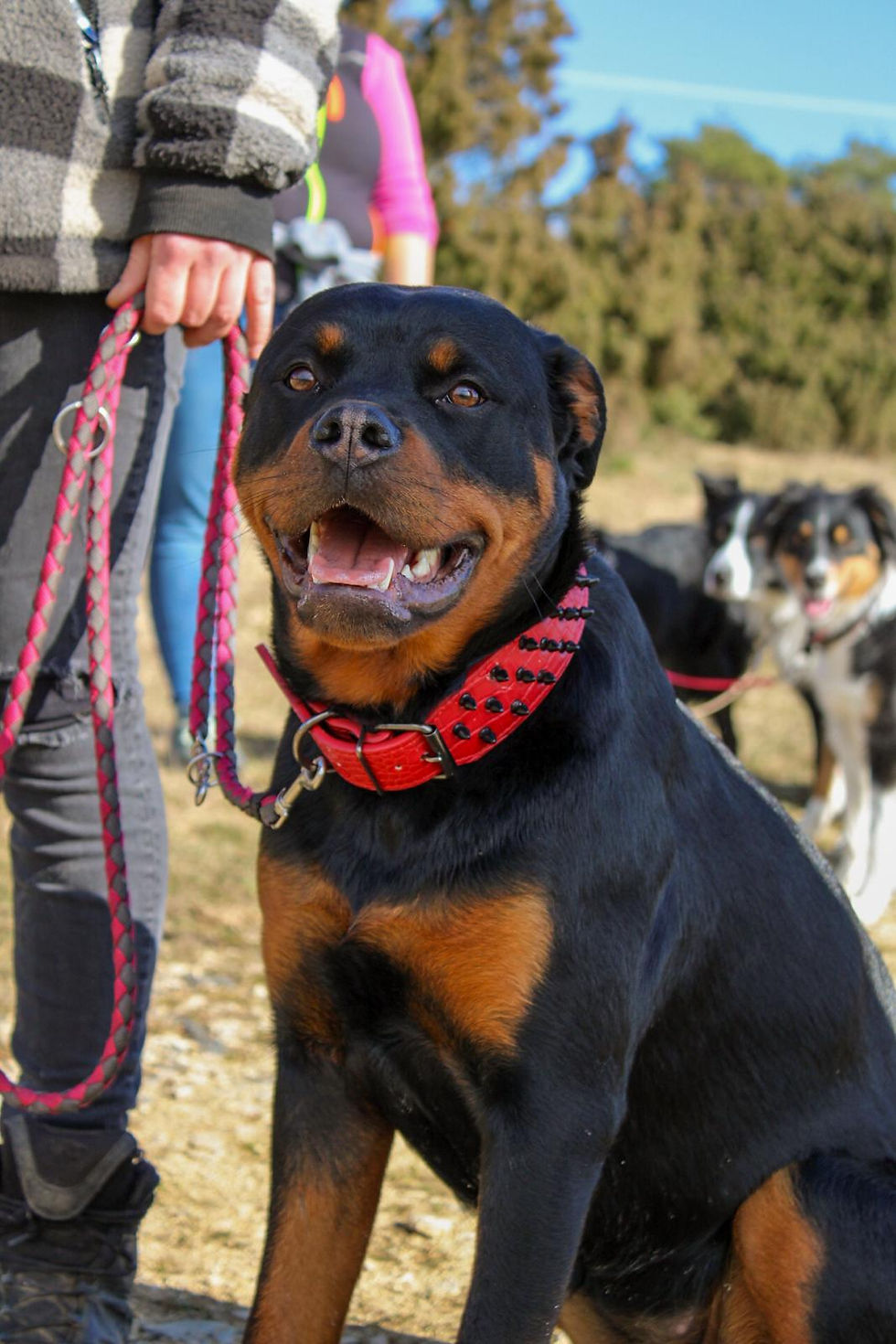 4267924e-914c-4f46-bcc1-5031e320cd0b