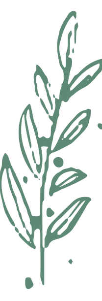 Original on Transparent_edited.png