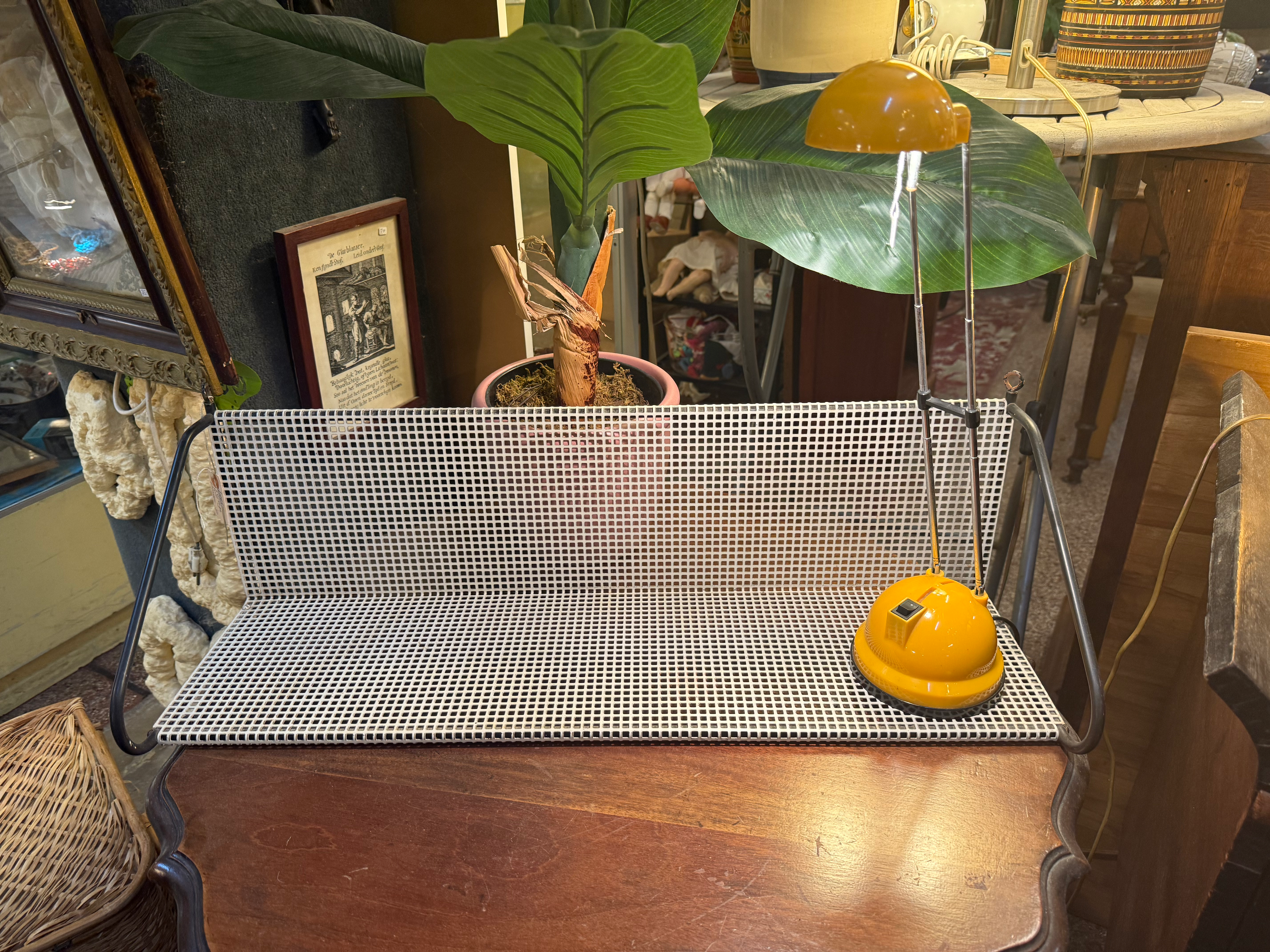 Boekenschap van Tjerk Reijenga voor Pilastro