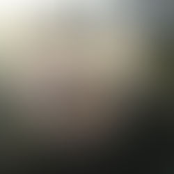 Growing Roses & Habitat for Wild-life