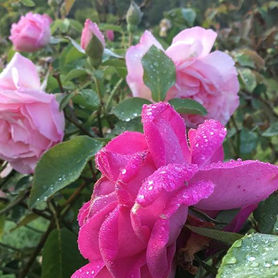 Who we are, and What we do?