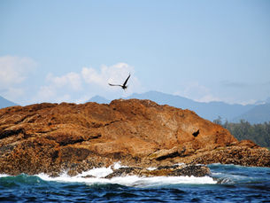 Luxury Hotels: Review of Clayoquot Wilderness Resort, Tofino Vancouver Island