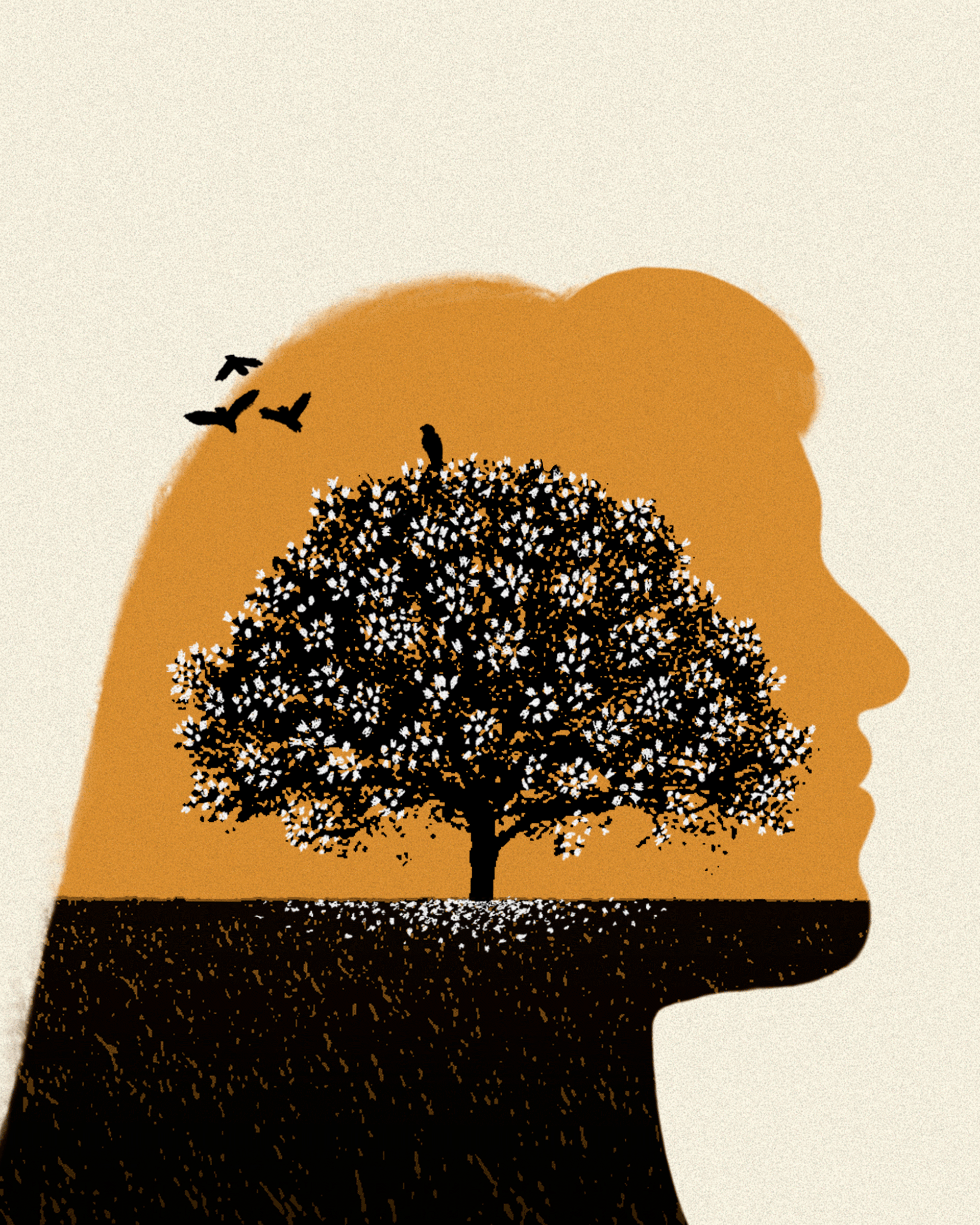 animación con los distintos colores que diferencian las fechas de los toques