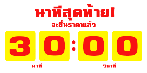 Countdown_Timer_30Min_for web.gif