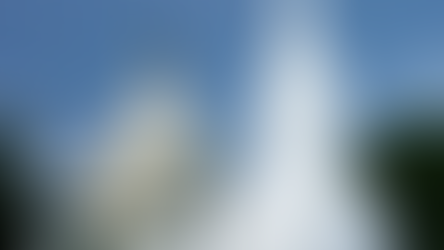 The racial report from the US Senate staff shows that non-white staff members make up 21.4%.