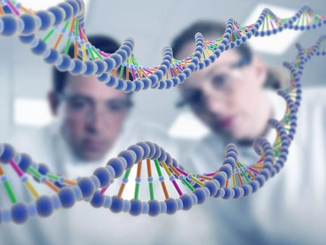 "How many genes does a grandson inherit from his grandfather? Do you still have genes from your ancestors 2000 years ago?"