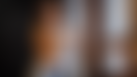 The impact of legalizing pornography is too severe, with Germany serving as a negative example.